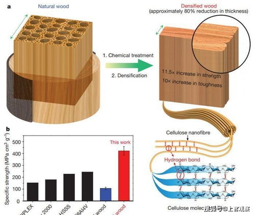 美華人科學(xué)家發(fā)明 超級木材 ,極其廉價(jià)能擋子彈,秒殺鈦合金