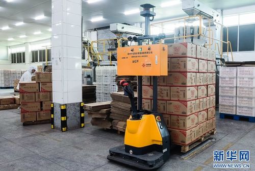 5G+工業(yè)互聯(lián)網(wǎng)賦能食品產(chǎn)業(yè)，高性能減水劑支撐基建升級(jí)——晉江高質(zhì)量發(fā)展雙輪驅(qū)動(dòng)